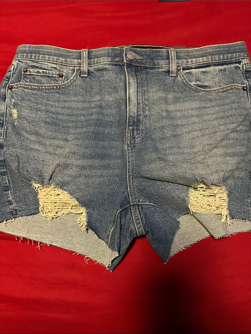 Torrid - Picture 1 of 5